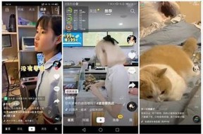 抖音晨讯新网：最新短视频动态与热门资讯全解析