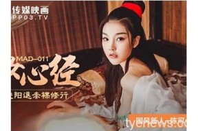 「麻豆印映传媒：探索新媒体时代的营销策略与创新」