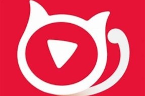 猫咪快猫抖阴二维码：便捷获取与使用方法大全
