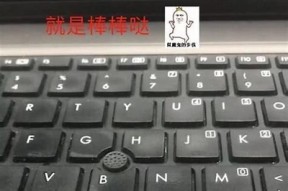 苹果手机能否观看抖音视频？详细解答及使用指南分享