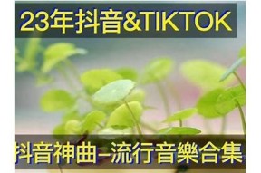 阴婚唢呐音乐大全：精选抖音热门阴婚曲目精华视频集