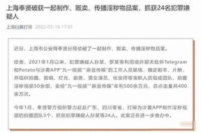 麻豆影视传媒男优：揭示幕后的故事与魅力揭秘