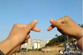 从阳光到阴影：探讨生活中的转折与变化