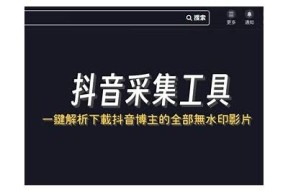 高质量抖音种子分享，助你轻松涨粉和提升曝光率！